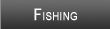 Lake Mitchell Fishing